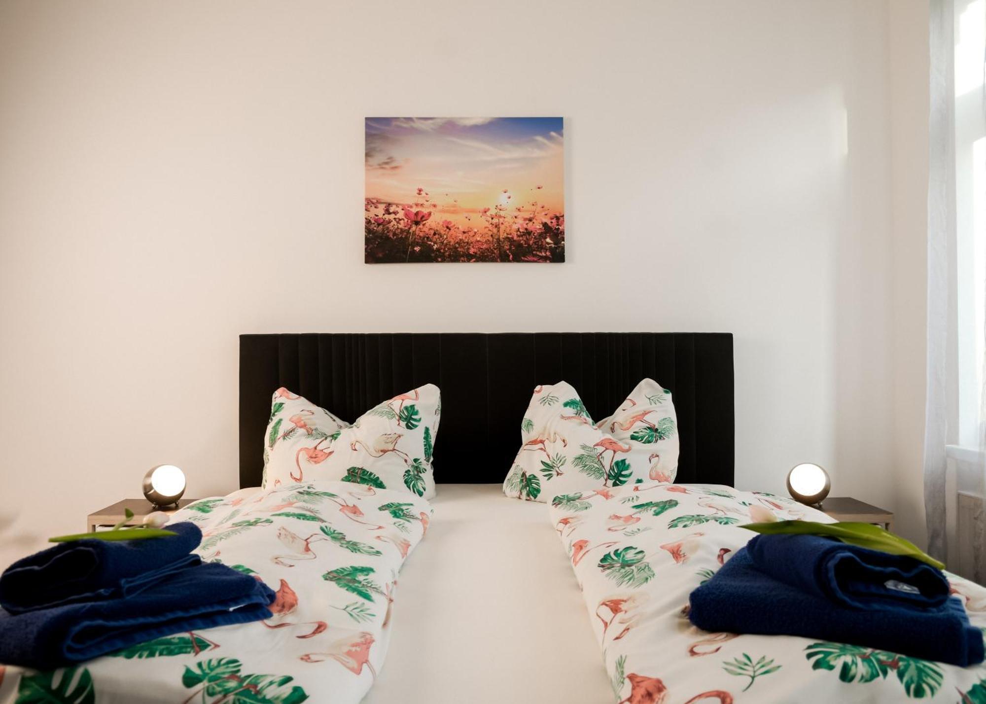 Apartmenthaus Sternstrasse Dresden Eksteriør bilde